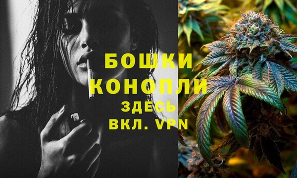 стаф Медногорск