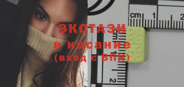 стаф Медногорск