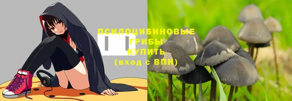 стаф Медногорск