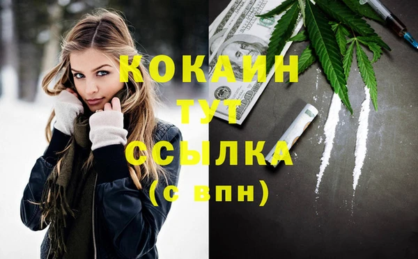 стаф Медногорск