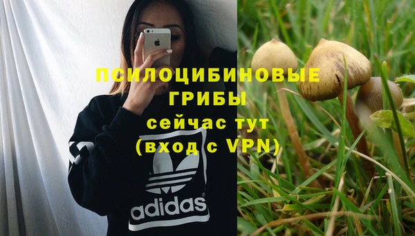 ПСИЛОЦИБИНОВЫЕ ГРИБЫ Мегион