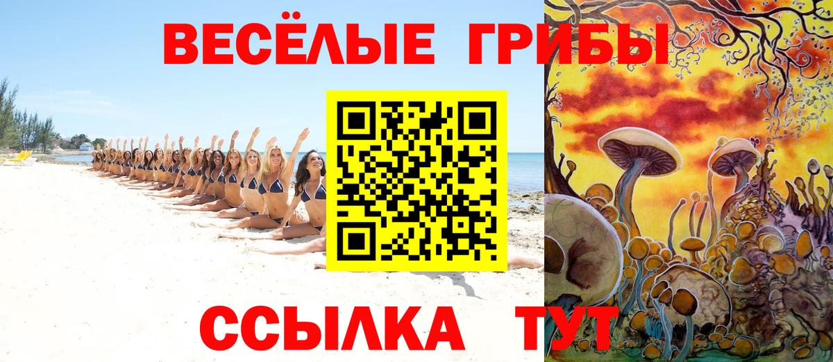 Галлюциногенные грибы MAGIC MUSHROOMS  Псилоцибиновые грибы мицелий  Татарск  Вход с VPN 